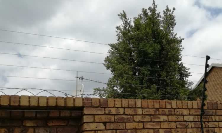 Electric Fence