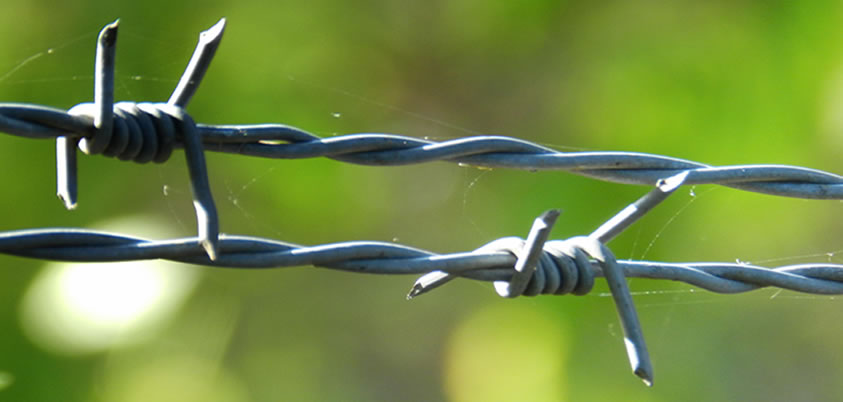 Barb Wire
